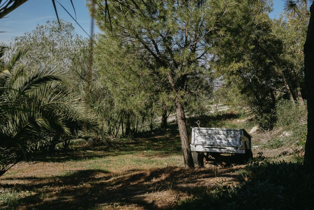 Photo of Others in Pruna