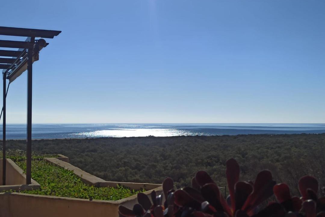 Photo of Others in Punta del Moral