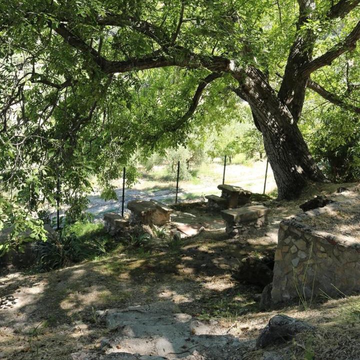 Photo of Others in Quesada