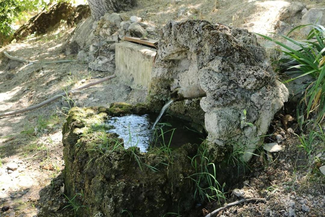 Photo of Others in Quesada