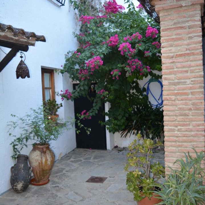 Photo of Others in Algodonales