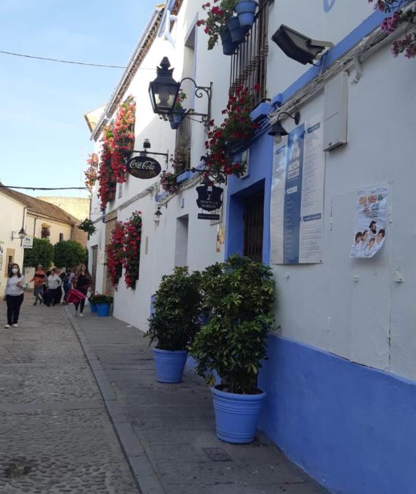 Photo of Others in San Basilio