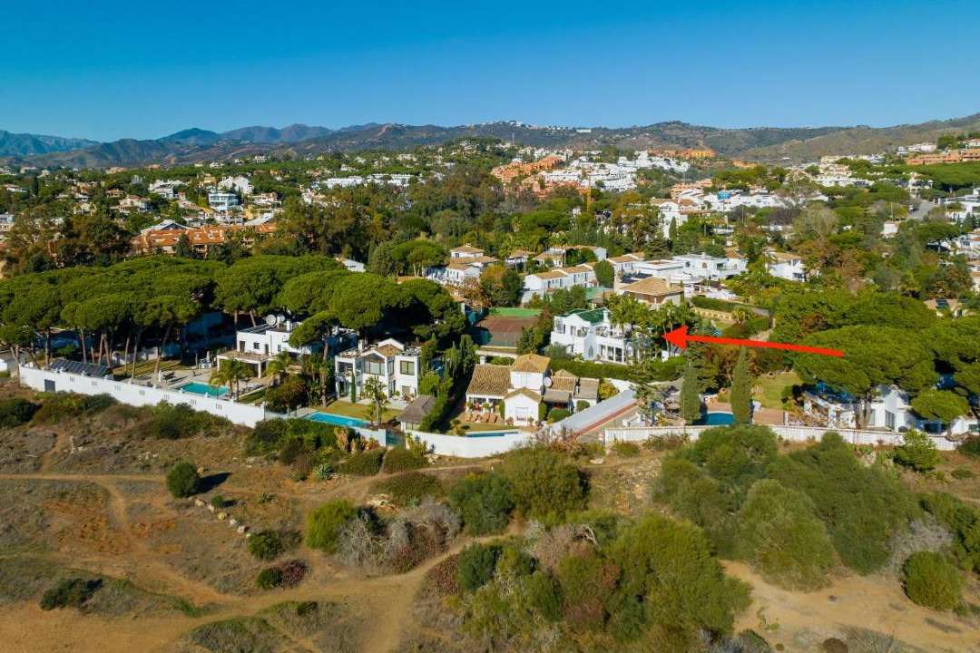 Photo of Others in Artola