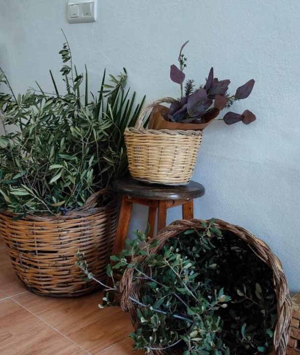 Photo of Others in Montejaque