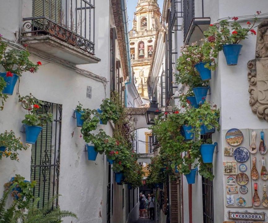 Photo of Others in Distrito de Levante