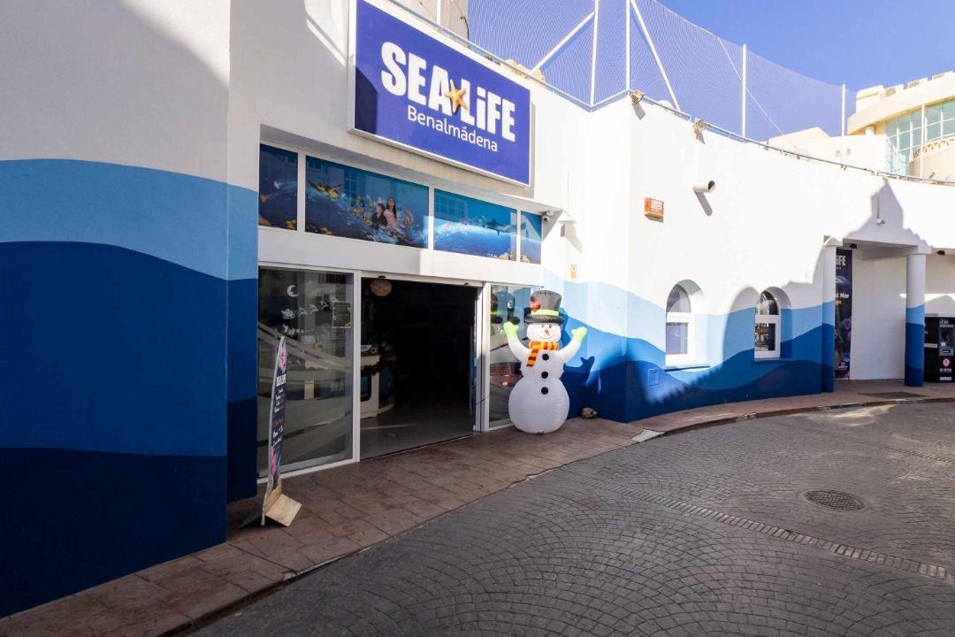 Photo of Others in Benalmadena Costa