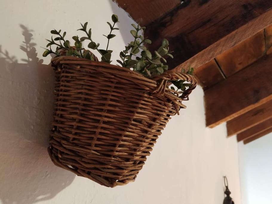 Photo of Others in Montellano