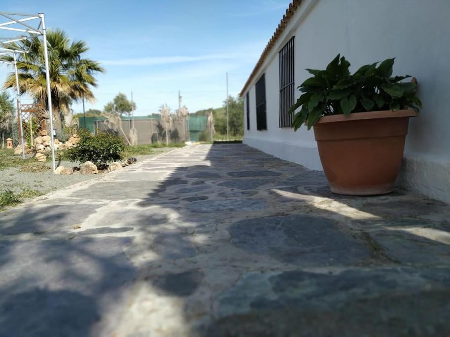 Photo of Others in Montellano