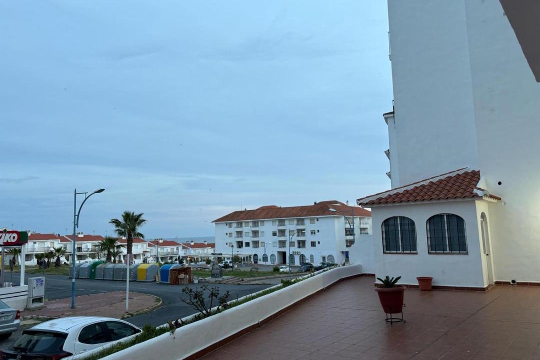 Photo of Others in Sector P - Palmito