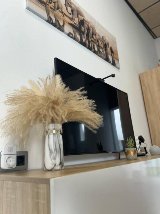 Photo of Livingroom in Algodonales