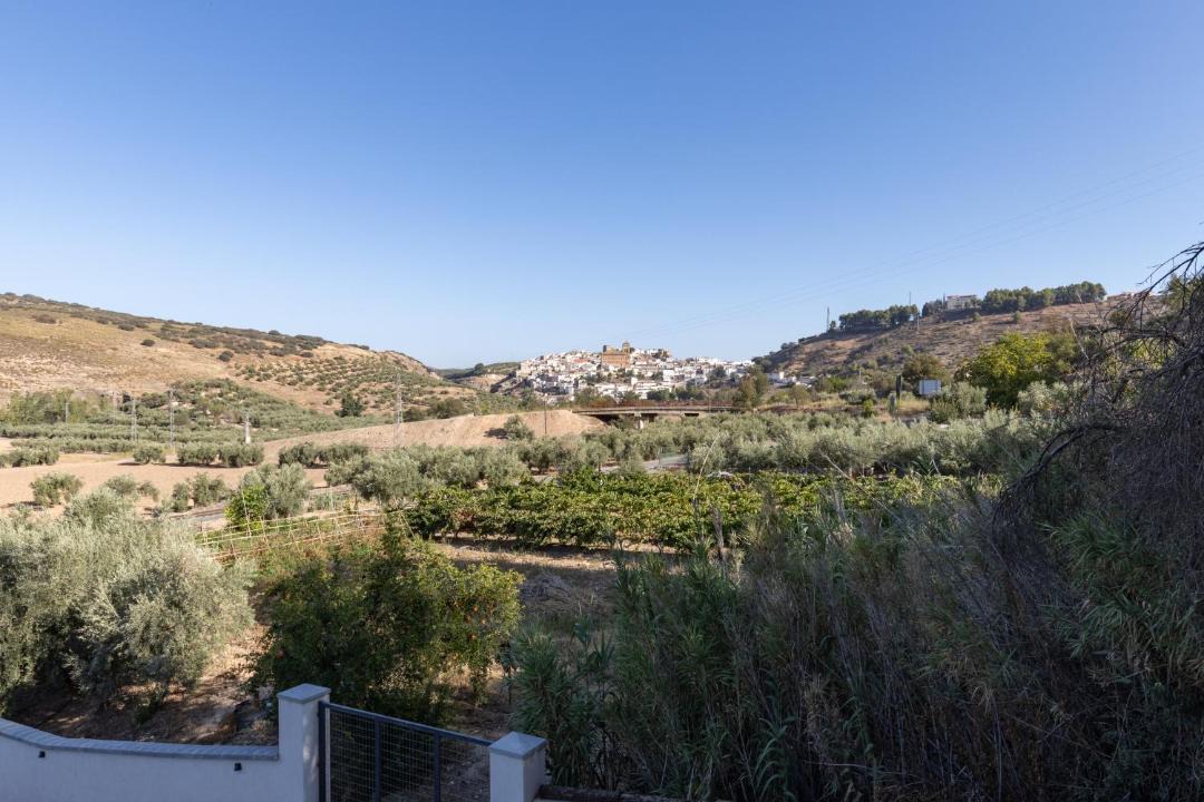 Photo of Others in Iznalloz