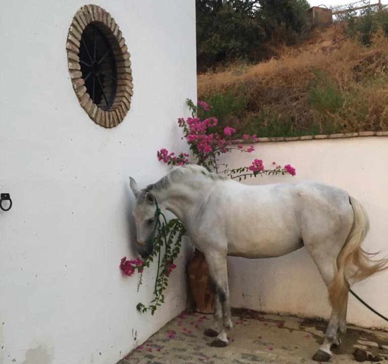 Photo of Others in Lora Del Rio