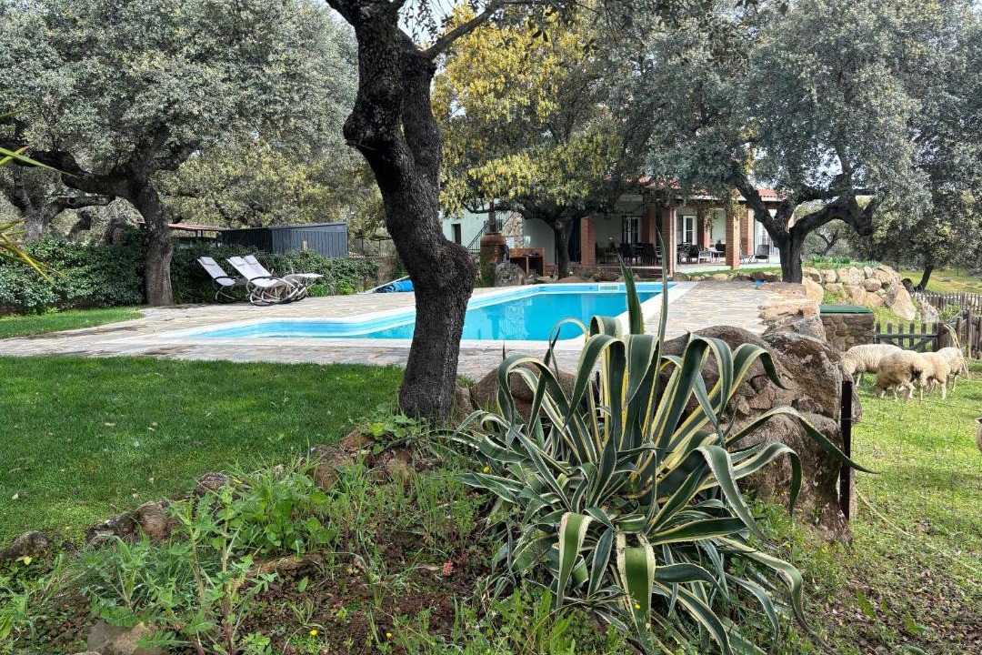 Photo of Outdoor in Salvatierra de Santiago