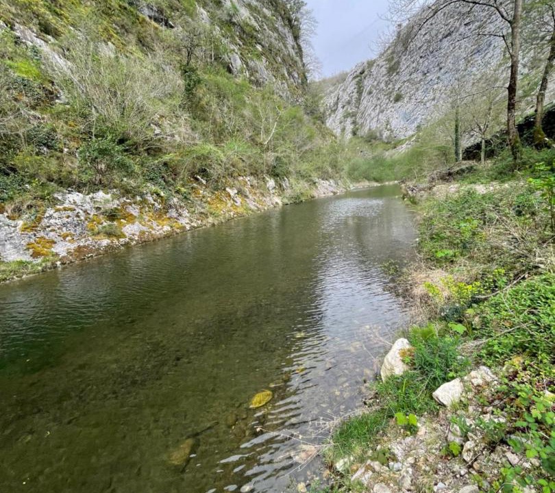 Photo of Others in Sobrescobio