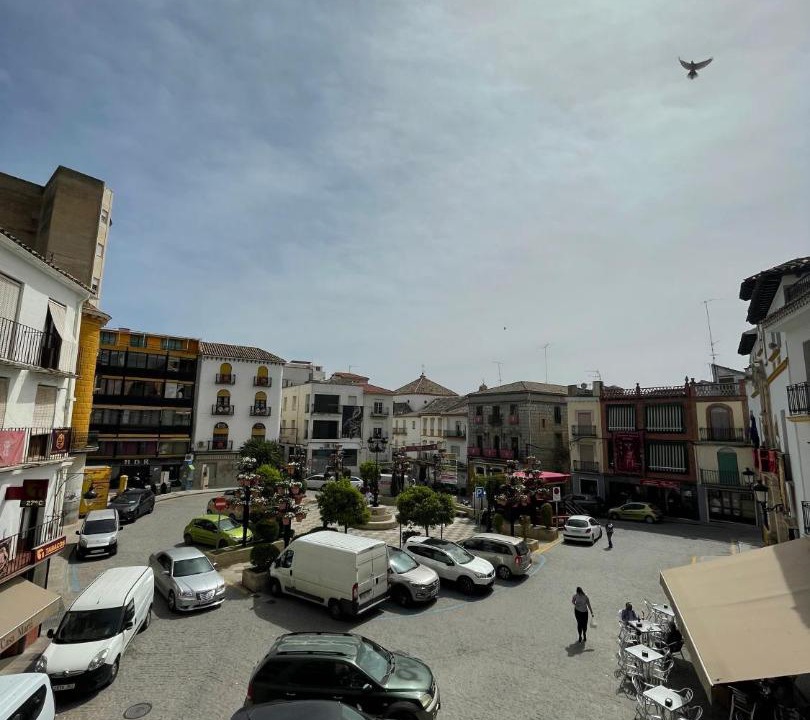 Photo of Others in Alcaudete