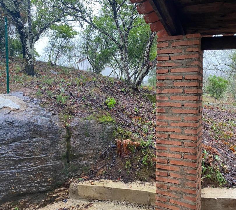Photo of Others in Castano del Robledo