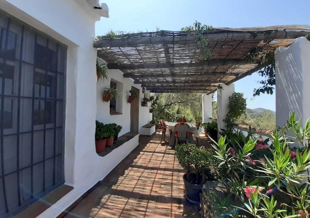Photo of Patio Balcony in Torrox