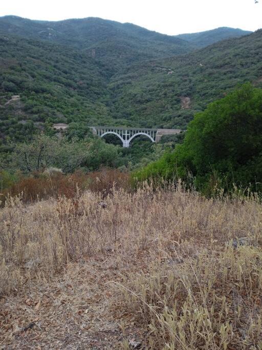 Photo of Outdoor in El Colmenar