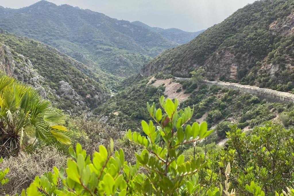 Photo of Outdoor in El Colmenar