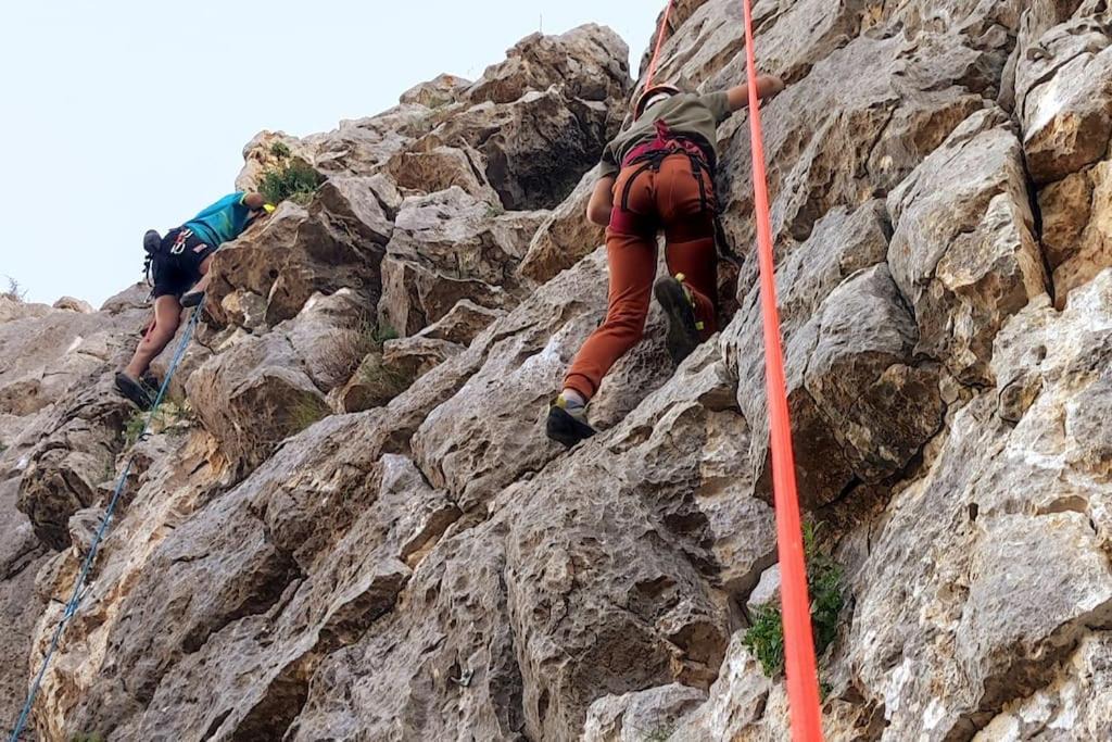 Photo of Others in El Chorro