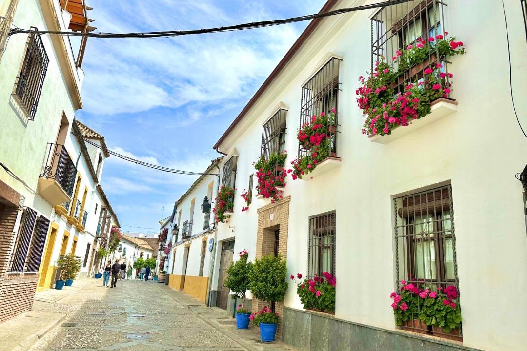 Photo of Others in San Basilio