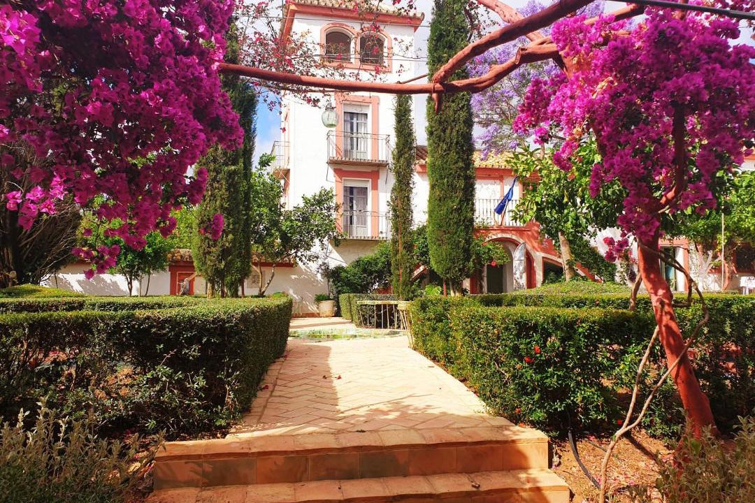 Photo of Others in Carmona