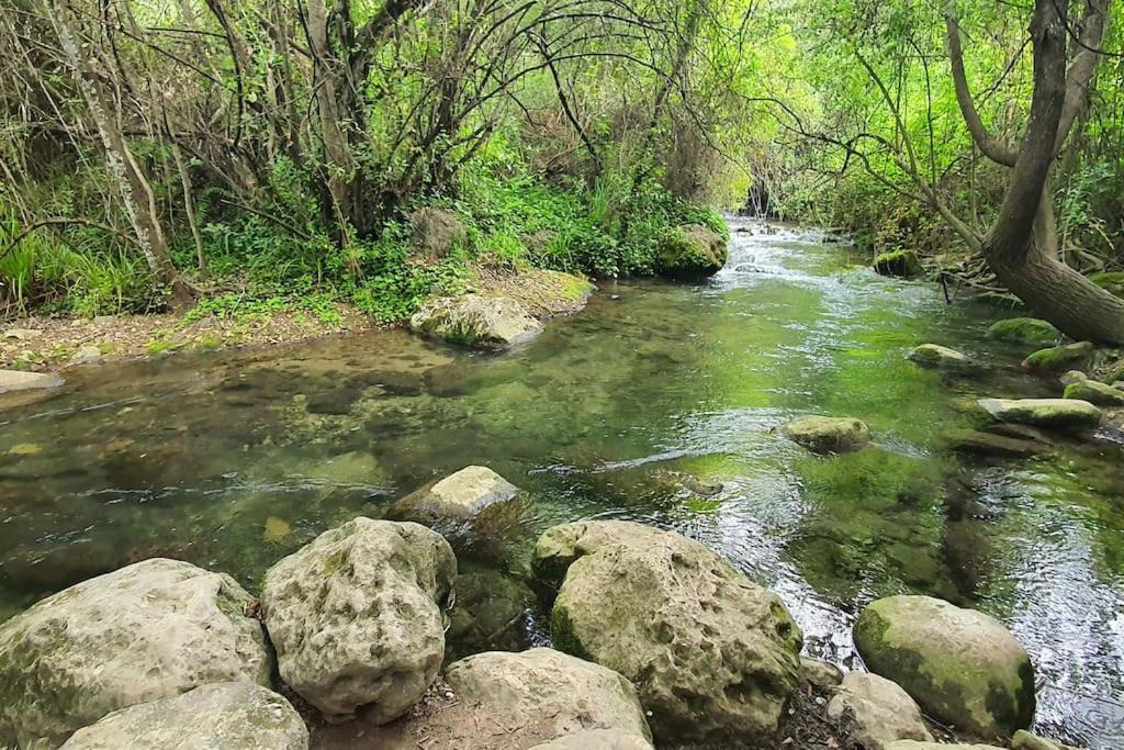 Photo of Others in El Bosque