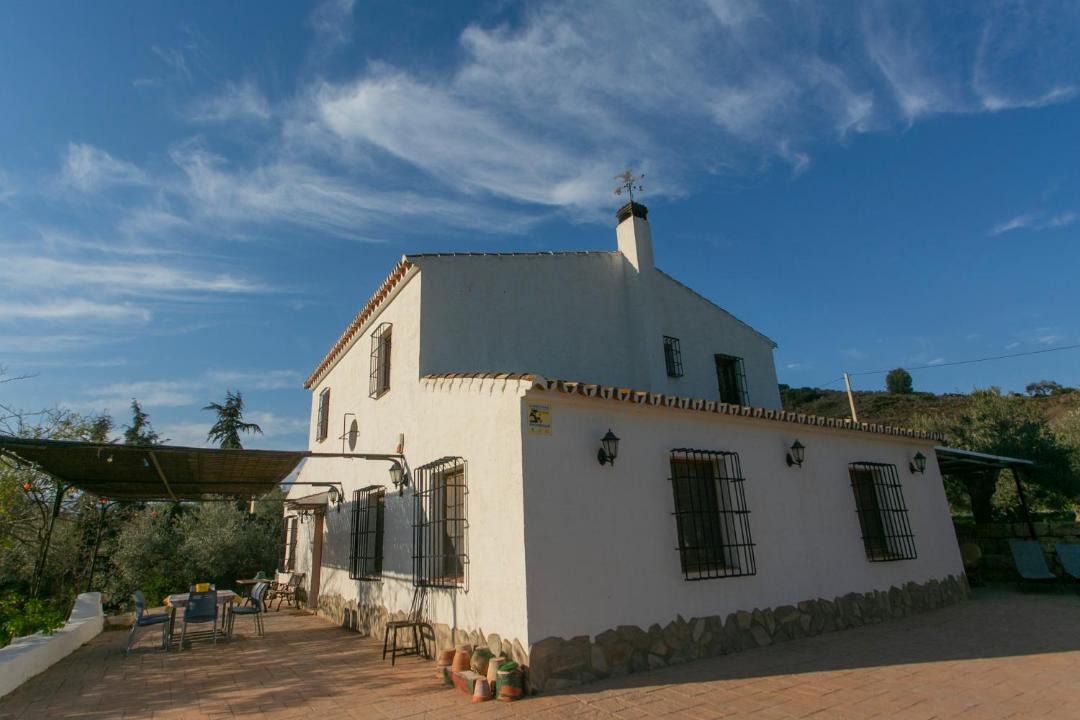 Photo of Others in Pizarra