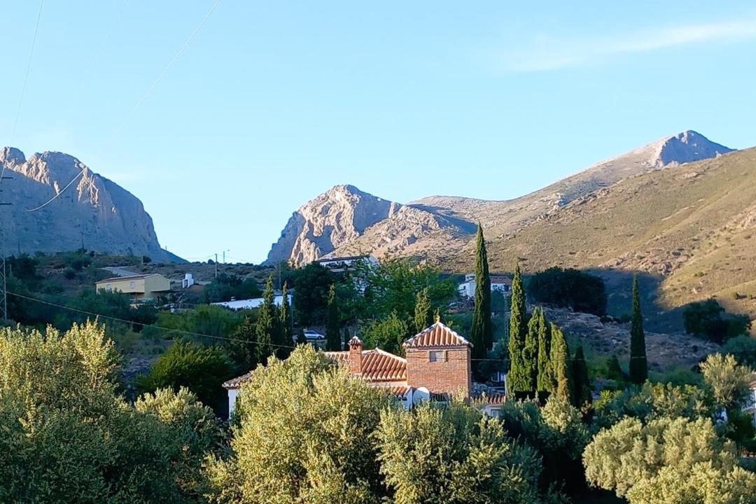 Photo of Others in Los Cortijillos