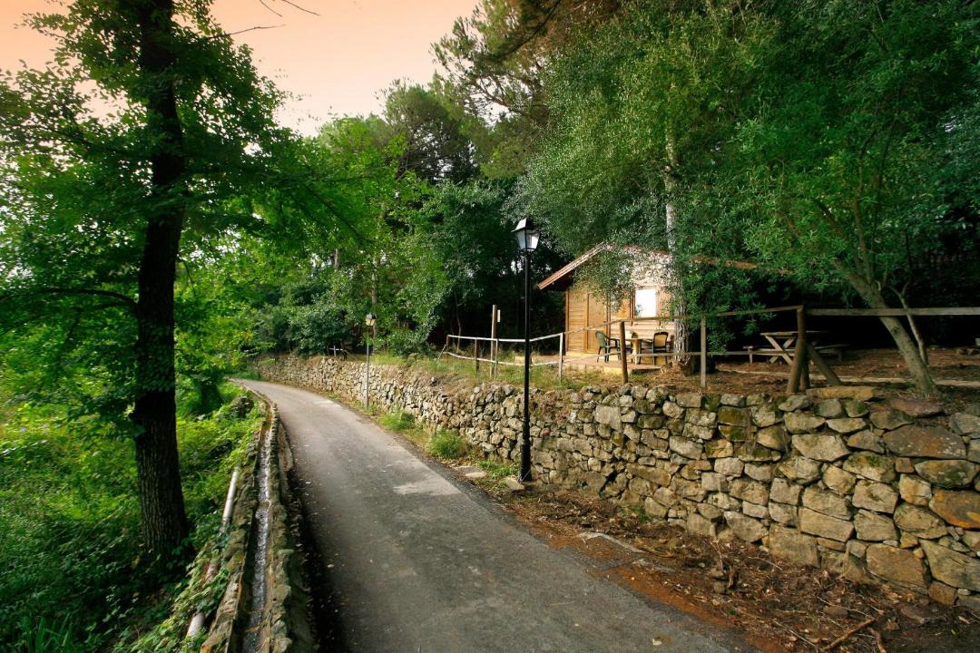 Photo of Others in Pelayo