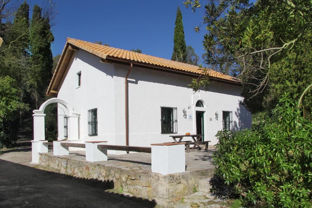 Photo of Others in Pelayo