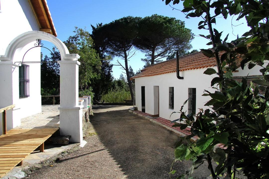 Photo of Others in Pelayo