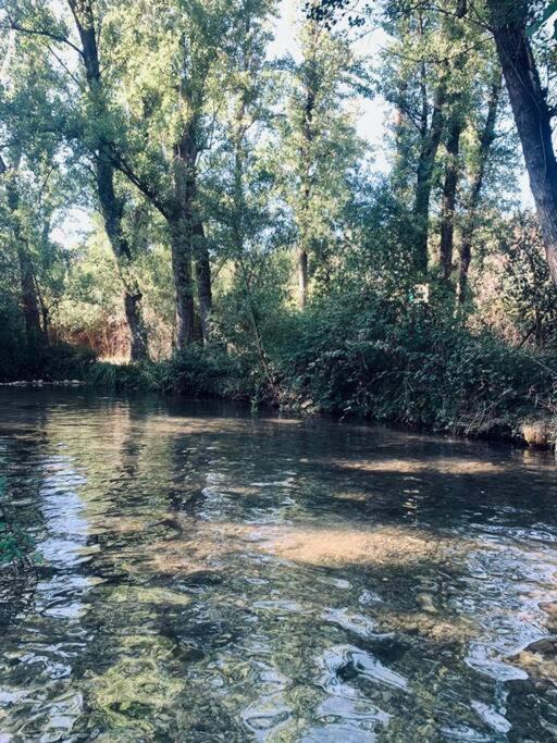 Photo of Others in El Bosque