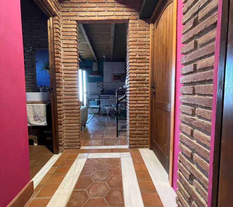 Photo of Others in Arenas
