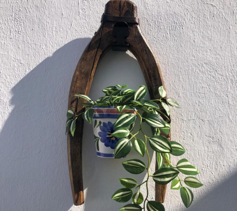 Photo of Others in Jerez de la Frontera