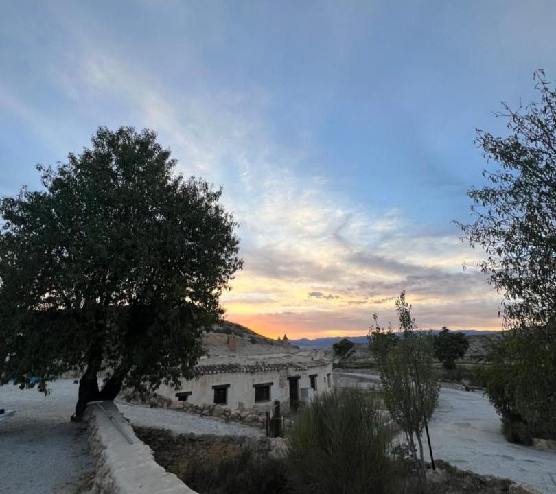 Photo of Buildings in La Alqueria