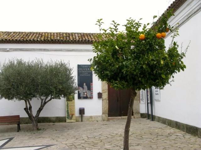Photo of Others in Olvera