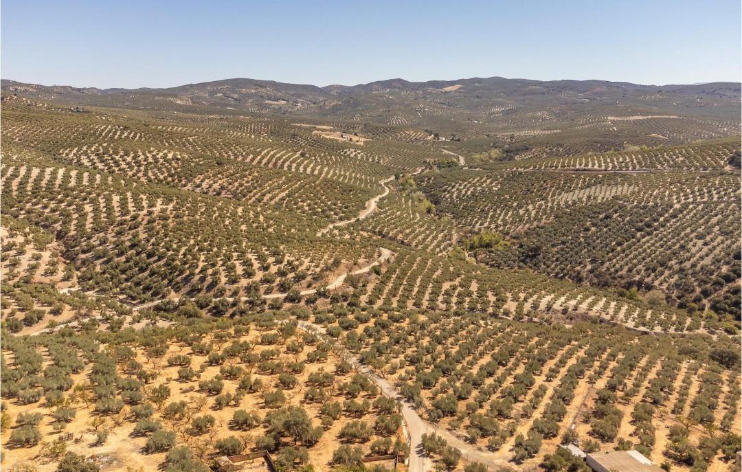Photo of Others in Villanueva de Algaidas