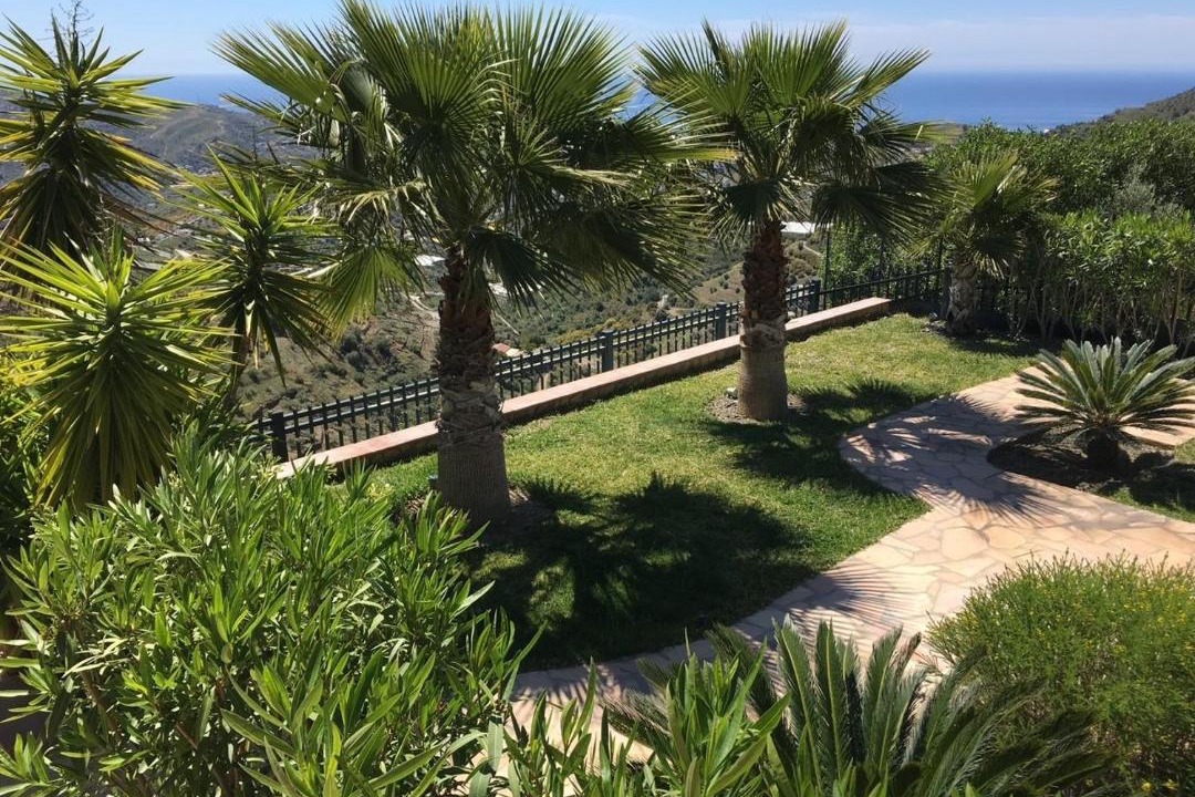 Photo of Others in Torrox