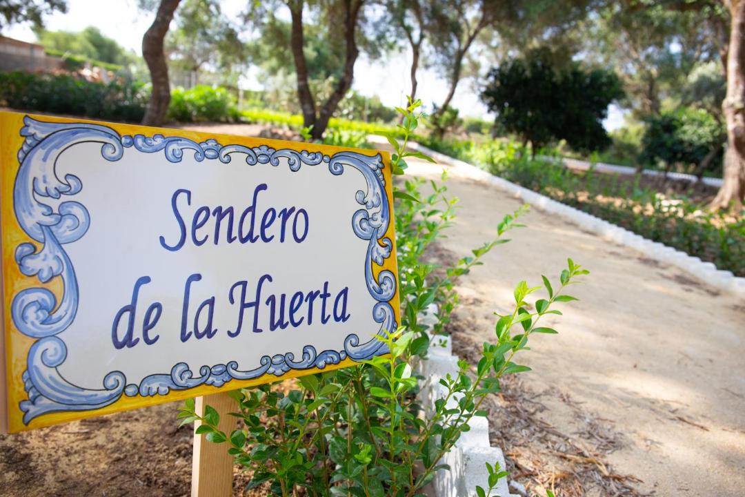 Photo of Others in Medina-Sidonia
