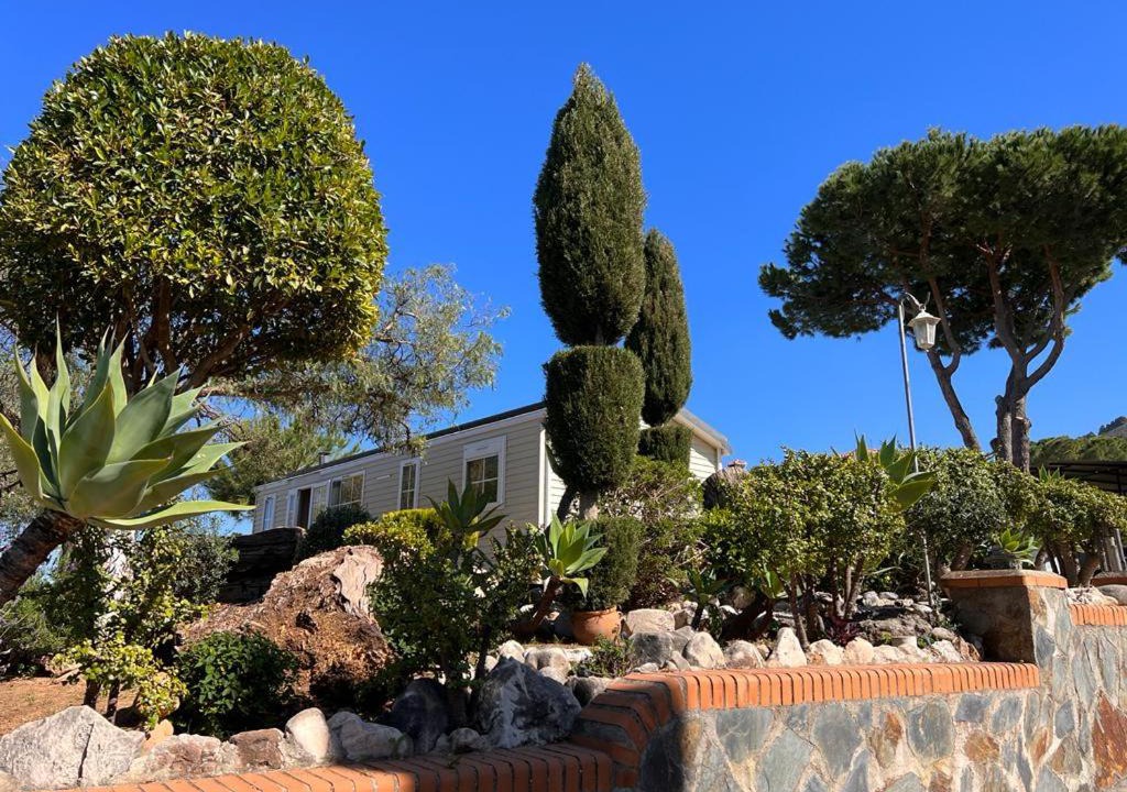 Photo of Others in Pinos de Alhaurin