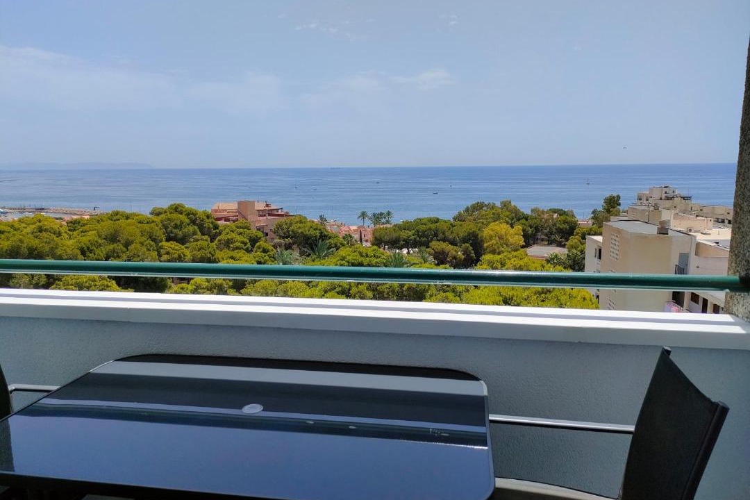Photo of Others in Aguadulce