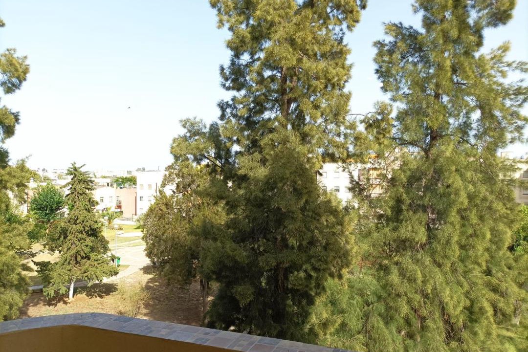 Photo of Others in Jerez de la Frontera