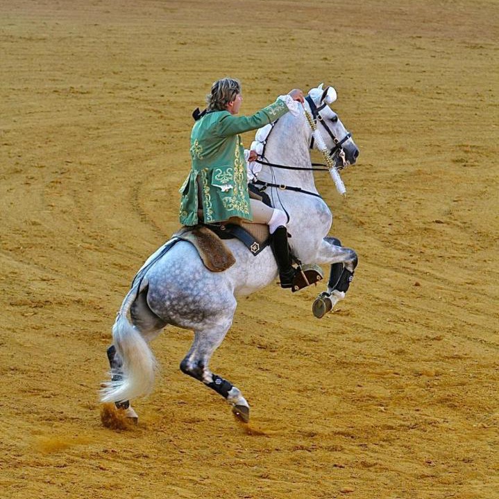 Photo of Others in Alcala de Guadaira