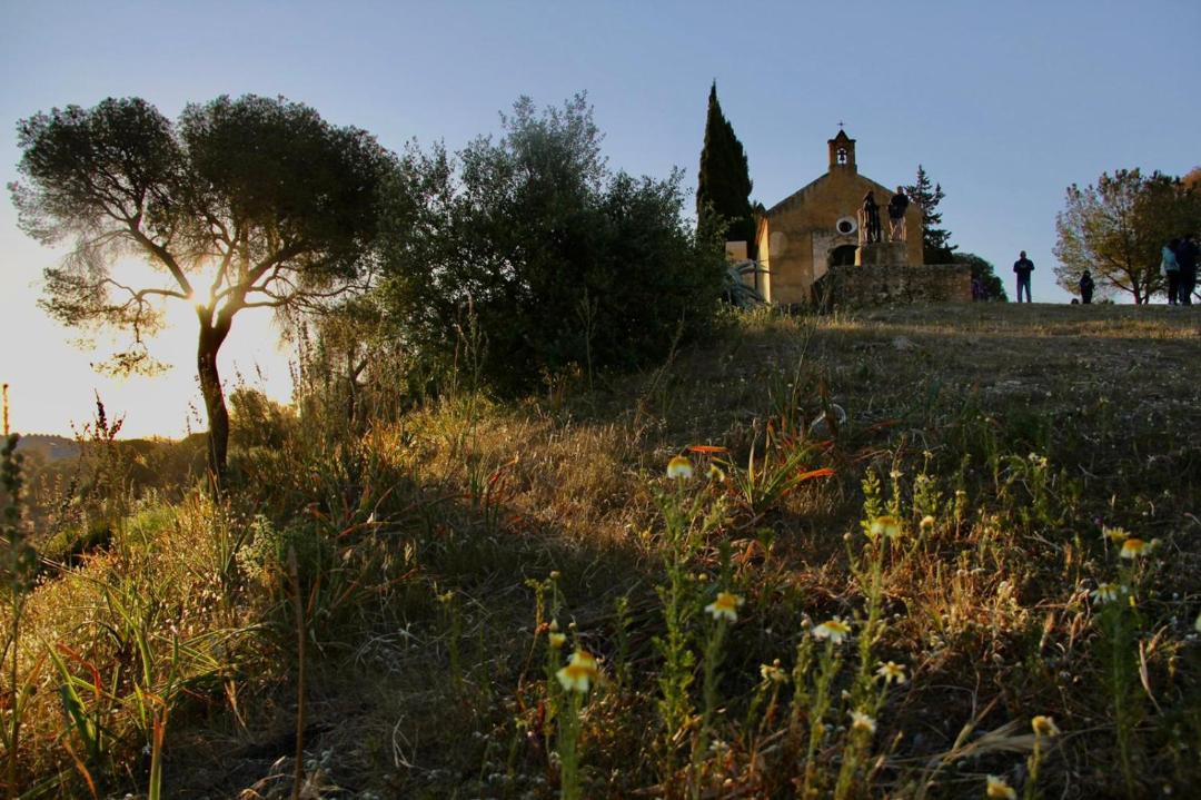Photo of Others in Alcala de Guadaira