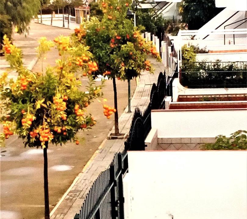 Photo of Others in Islantilla