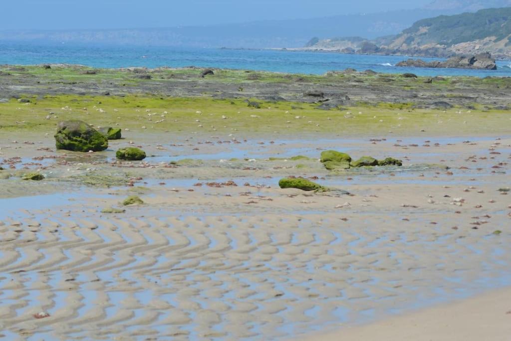 Photo of Outdoor in Bolonia
