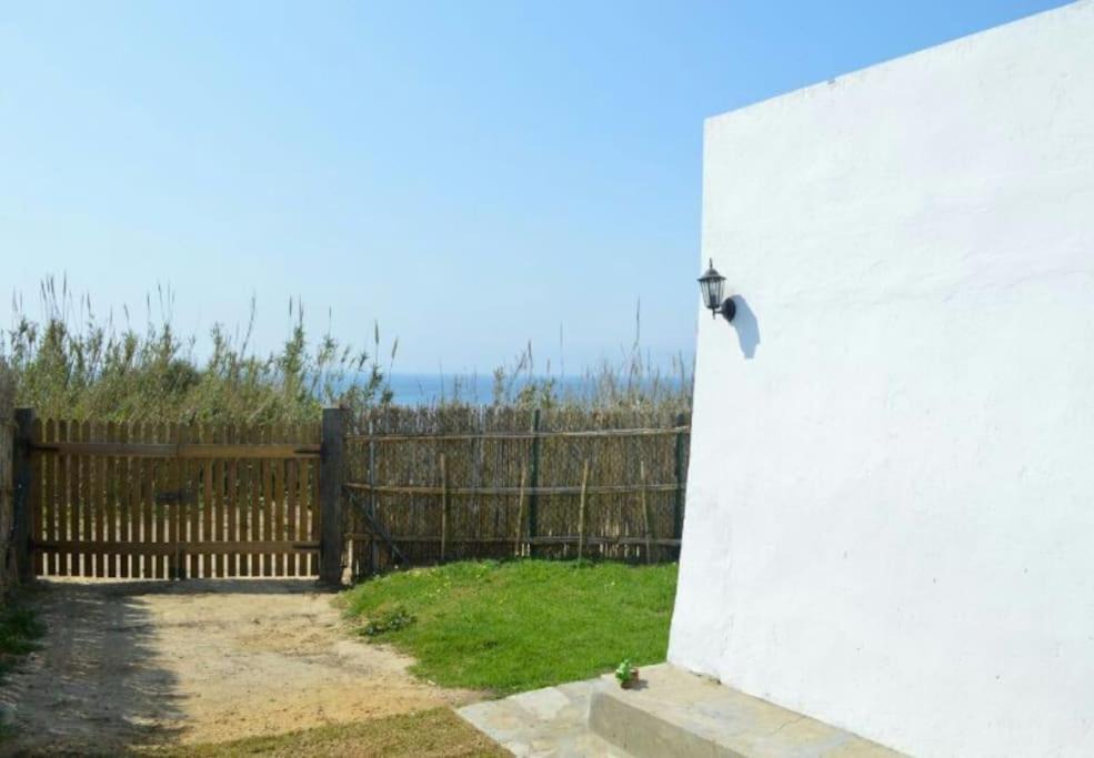 Photo of Others in Bolonia
