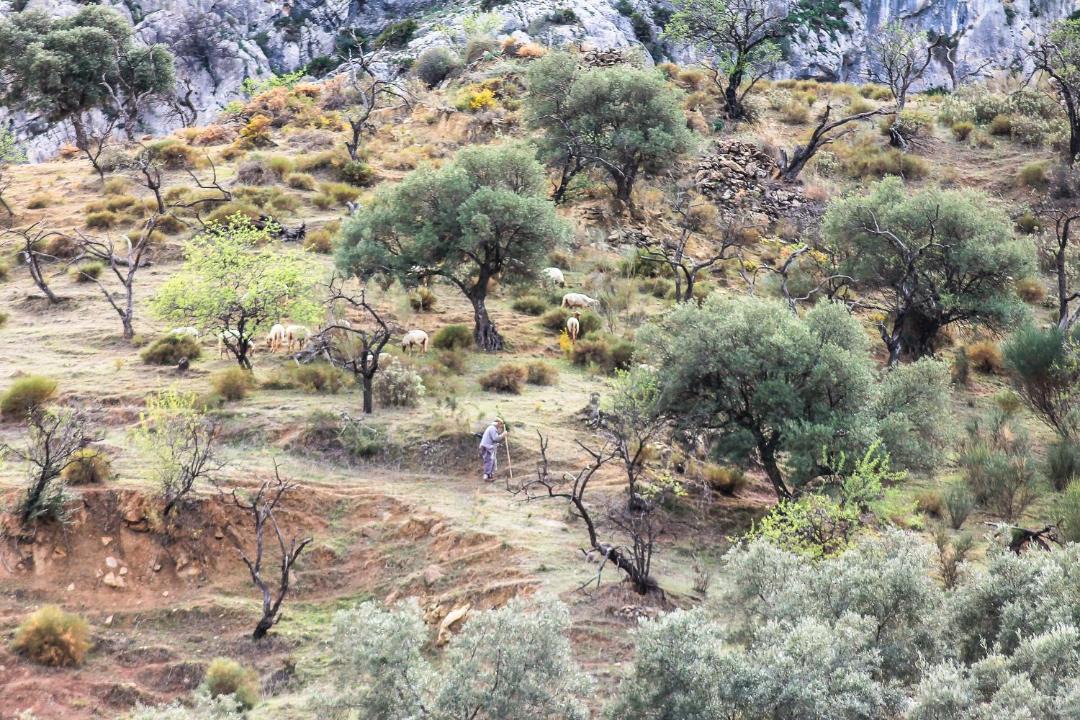 Photo of Others in Valle de Abdalagis