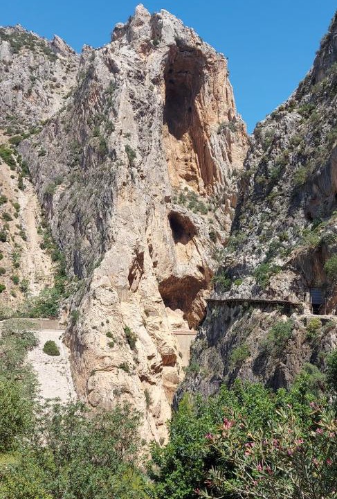 Photo of Others in Casarabonela